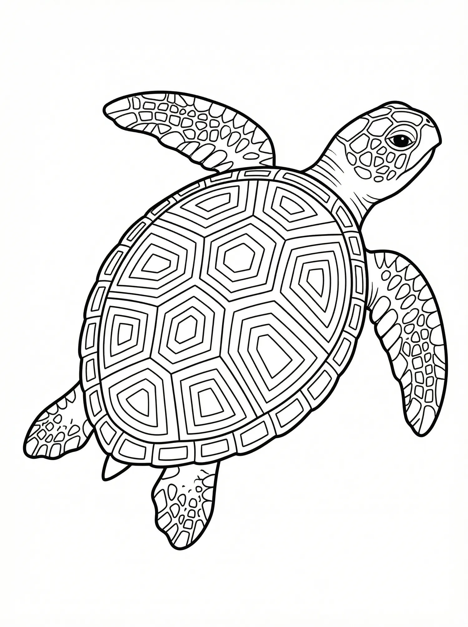 Tortue Marine - pack Animaux Majestueux